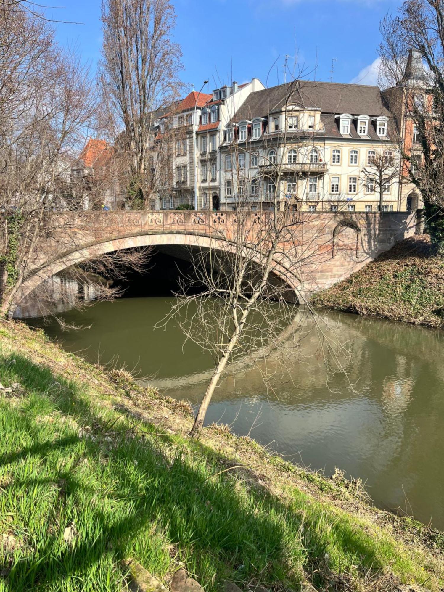 Le Petit Brooklyn Lejlighed Strasbourg Eksteriør billede